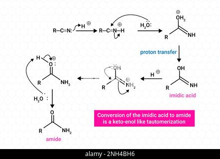 Conversion de l'acide imidique en amide Illustration de Vecteur