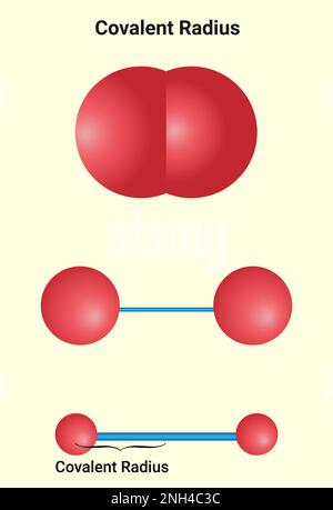 Rayon covalent : le rayon covalent est la moitié de la distance entre deux atomes similaires reliés par une liaison covalente dans la même molécule Illustration de Vecteur