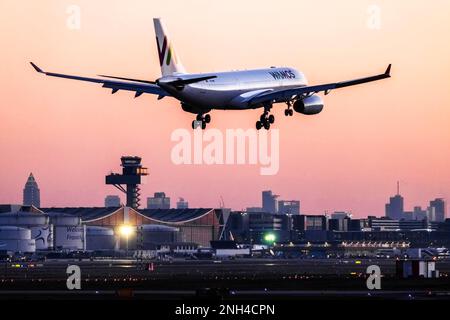 Aéroport de Fraport avec Airbus A330 de la compagnie aérienne Wamos Air atterrissage, horizon en début de matinée, Francfort-sur-le-main, Hesse, Allemagne Banque D'Images