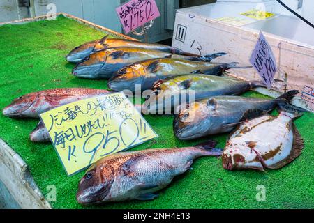 Tokyo Japon. Marché aux poissons Banque D'Images