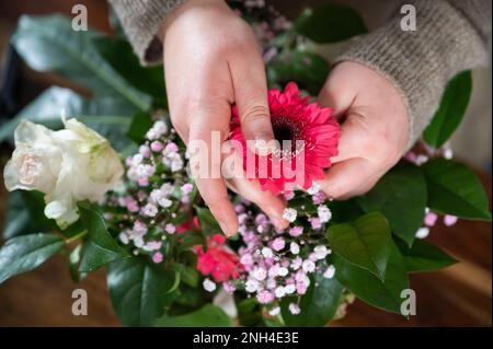 La fleuriste femelle met de belles fleurs de printemps ensemble dans un vase à l'intérieur, pas de visage visible Banque D'Images