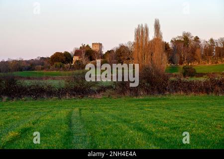 Église dans la campagne anglaise avec champ et arbres. Fin d'après-midi juste avant le coucher du soleil. Église Saint-Jean, West Wickham, Kent, Royaume-Uni. Banque D'Images