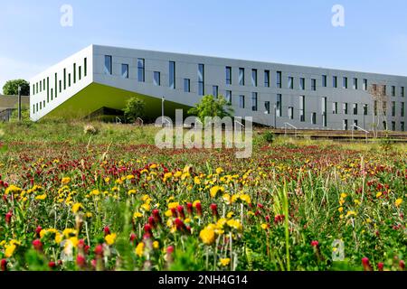 Université et Université des sciences appliquées Osnabrueck, Campus Westerberg, salle de conférence et bâtiment de séminaire, Osnabrueck, Basse-Saxe, Allemagne Banque D'Images