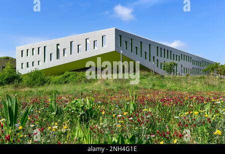 Université et Université des sciences appliquées Osnabrueck, Campus Westerberg, salle de conférence et bâtiment de séminaire, Osnabrueck, Basse-Saxe, Allemagne Banque D'Images