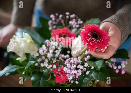 La fleuriste femelle met de belles fleurs de printemps ensemble dans un vase à l'intérieur, pas de visage visible Banque D'Images