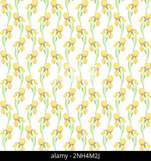 Motif sans couture en iris jaune, illustration aquarelle des fleurs. Dessin à la main pour l'impression sur tissu, décoration, papier peint, papier d'emballage Banque D'Images