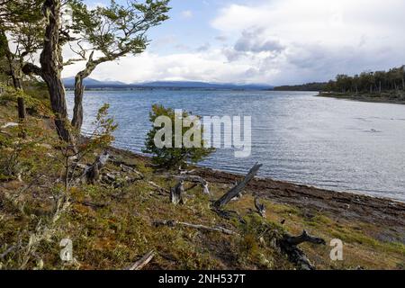 RESERVA PROVINCIAL LAGUNA NEGRA au lac Fagnano près de Tolhuin, Argentine, Tierra del Fuego, Amérique du Sud Banque D'Images