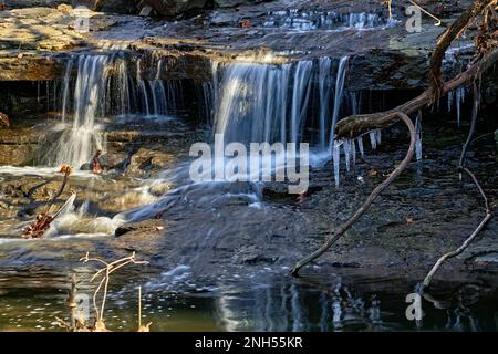 Une longue exposition de Wolf Creek un ruisseau coulant avec de petites cascades et une piscine d'eau en verre. À Ridgefield, New Jersey, Etats-Unis. Banque D'Images