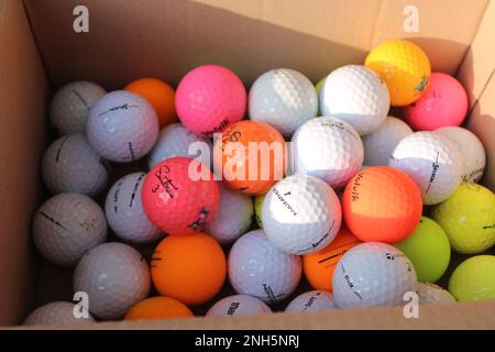 Balles de golf colorées dans une boîte en carton Banque D'Images