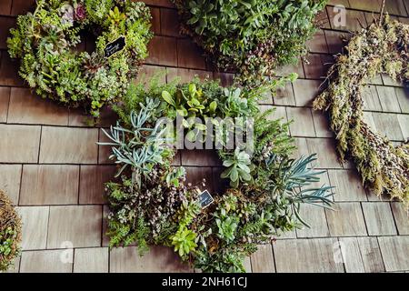 La couronne faite de plantes succulentes est accrochée au mur, magasin fleuriste Banque D'Images