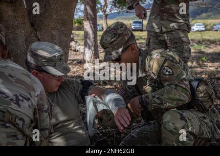 Le sergent d'état-major Joshua Mubarak, un spécialiste de l'aide au feu affecté au 3rd Bataillon, 7th Régiment d'artillerie de campagne, 25th Artillerie de la Division d'infanterie, enveloppe le bras du soldat blessé avec l'pansement de pression israélien 19 juillet à la caserne de Schofield, à Hawaï, pendant les voies individuelles pour les 2022 États-Unis Concours du meilleur escouade de l'armée du Pacifique. Les 2022 États-Unis La compétition de la meilleure escouade de l’Armée du Pacifique se compose de plusieurs escouades de 5 soldats provenant d’unités de l’USARPAC qui se disputent la possibilité de représenter l’USARPAC à la compétition du ministère de l’Armée. stations. Les officiers non commissionnés et les subalternes inscrits le seront Banque D'Images