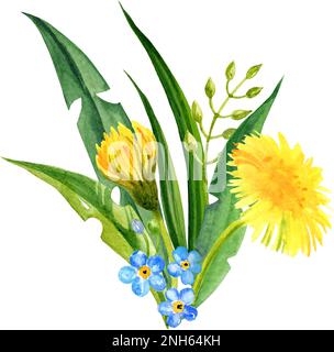 composition des fleurs de champ d'aquarelle, dessin à la main, fleurs d'été, feuilles et graines de pissenlit. Fleurs jaunes et vertes et herbe Banque D'Images