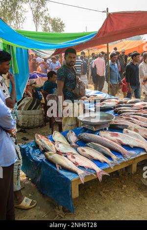 Foire de Poradaha Bangladesh Foire locale Banque D'Images