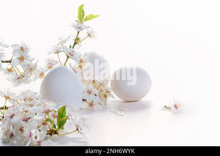 Trois oeufs et une branche de fleurs sauvages sur un fond blanc comme arrangement de Pâques, carte de vœux de vacances, espace de copie, foyer sélectionné, profondeur étroite o Banque D'Images