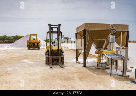 Chariots élévateurs au travail, salines de Trapani Banque D'Images