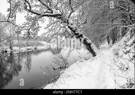 Soleil monochrome traversant la brume au-dessus de la rivière Teviot dans la neige d'hiver aux frontières écossaises Banque D'Images