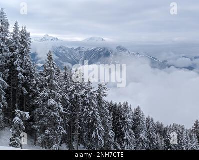 pentes enneigées d'un paysage montagneux et arbres enneigés Banque D'Images
