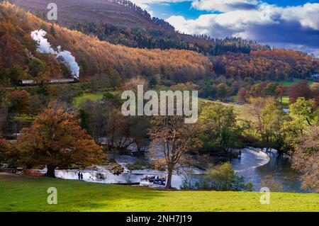 Rivière Dee à llangollen Denbighshire au nord du Pays de Galles. Couleurs d'automne et les feuilles des arbres. Horseshoe Falls. Train à vapeur du canal de Llangollen Llangollen rai Banque D'Images