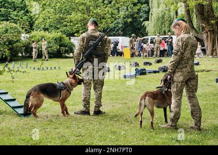 Gardes-frontières ukrainiens avec chiens de service. Formation du chien de travail à l'extérieur. Banque D'Images