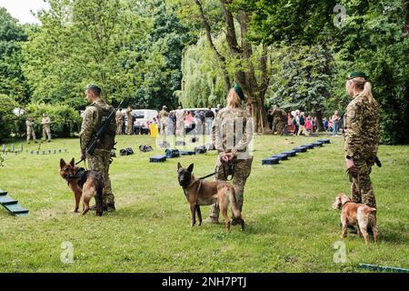 Gardes-frontières ukrainiens avec chiens de service. Formation du chien de travail à l'extérieur. Banque D'Images