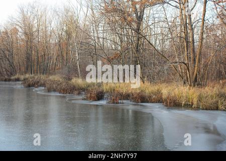 Le littoral de Cedar Creek est en hiver à Star Prairie, Wisconsin, États-Unis Banque D'Images
