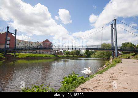 Vue sur le River exe et le pont de Cricklepit à Exeter, Devon au Royaume-Uni Banque D'Images