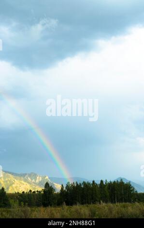 Un grand arc-en-ciel après la pluie des montagnes à la forêt à l'ombre. La République de l'Altaï. Banque D'Images