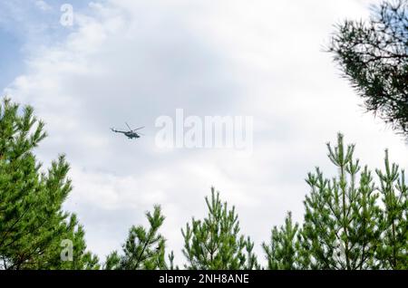 L'hélicoptère survole les arbres dans la forêt russe. Banque D'Images