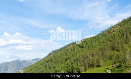 Pente verte le sommet de la montagne avec des arbres sous le ciel pluvieux dans l'Altaï. Banque D'Images