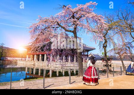 Femme à la robe traditionnelle coréenne Hanbok dans le palais Gyeongbokgung au printemps.Corée du Sud. Banque D'Images