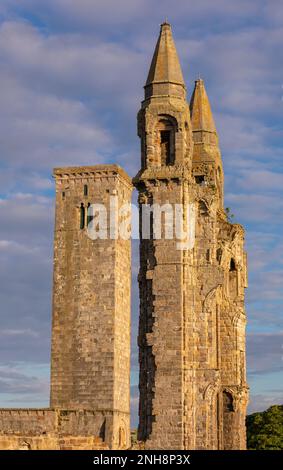ST ANDREWS, ÉCOSSE, EUROPE - ruines de la cathédrale St Andrews. St Rule's Tower, à gauche. Banque D'Images