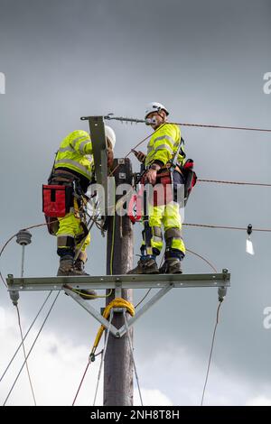 Ingénieurs électriciens travaillant sur un poteau électrique en bois. Cumbria, Royaume-Uni. Banque D'Images