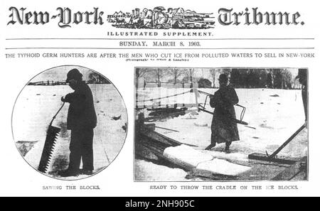 Les chasseurs de germe typhoïde sont d'après les hommes qui ont coupé de la glace dans les eaux polluées pour vendre à New York. Supplément illustré de la Tribune de New York, 8 mars 1903. La fièvre typhoïde, également connue sous le nom de typhoïde, est une maladie causée par la bactérie Salmonella sérotype Typhi et se propage par la consommation ou la consommation d'aliments ou d'eau contaminés par les fèces d'une personne infectée. Banque D'Images