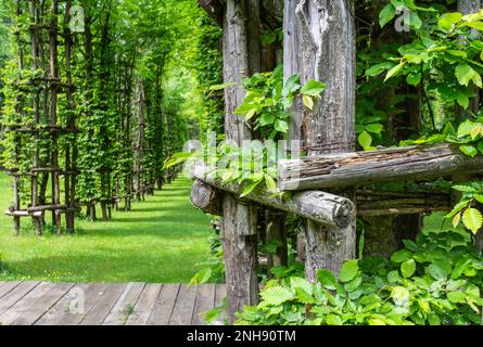 Arte Sella est une exposition d'art contemporain qui se déroule dans les bois de la vallée de la Sella, Borgo Valsugana - Trentin-Haut-Adige- Italie Banque D'Images