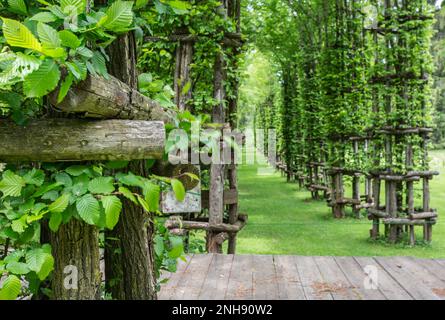 Arte Sella est une exposition d'art contemporain qui se déroule dans les bois de la vallée de la Sella, Borgo Valsugana - Trentin-Haut-Adige- Italie Banque D'Images