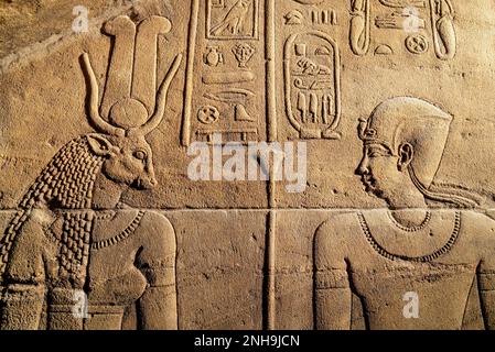 Hiéroglyphes égyptiens au temple de Philae, Assouan, Égypte. Banque D'Images