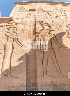 Hiéroglyphes égyptiens au temple de Philae, Assouan, Égypte. Banque D'Images