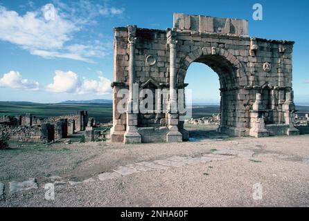 Maroc. Volubilis. Ruines berbères-romaines. Banque D'Images