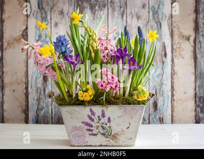 Fleurs de printemps fraîches et belles en pot vintage sur la table en bois. Décoration de Pâques pour la maison. Banque D'Images