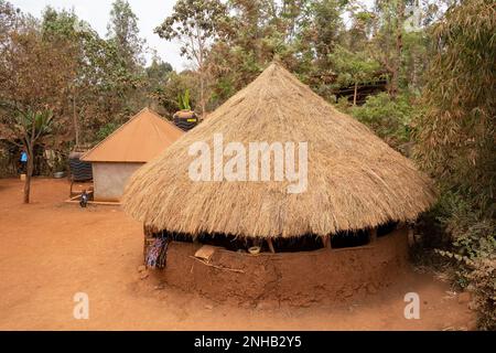 Caratu, Tanzanie - 16 octobre 2022: Une cabane traditionnelle faite de boue, de branches et de paille, dans la banlieue de Caratu, Tanzanie. Banque D'Images