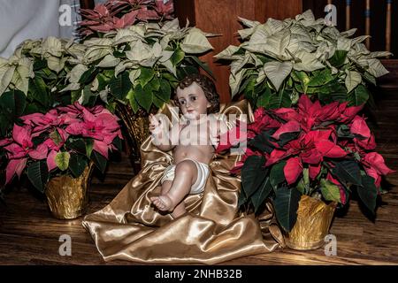 Statue de bébé Jésus entourée de poinsettias sur l'autel à Noël à Saint Joseph's Catholic Church à Taylors Falls, Minnesota, États-Unis. Banque D'Images