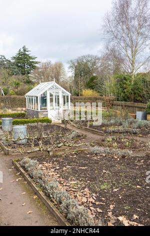 serre et un jardin de cuisine dormant pendant un hiver britannique, jardinières, pots de plantes Banque D'Images