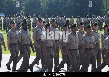 Le Pvt. Tyrice Melvin, marche avec le Bataillon 3rd, 39th Infantry Regiment, pendant la partie passe et examen du 28 juillet de remise des diplômes de l'unité. Melvin a rencontré le conférencier invité de la remise des diplômes, le général Milford H. Beagle Jr., commandant de la Division de la montagne 10th, sur un vol en provenance d'Allemagne. Les deux ont parlé de l'Armée de terre et de l'entraînement de base au combat. Banque D'Images