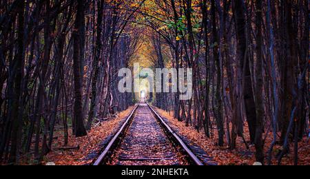 Les voies ferrées traversent une forêt de feuillages d'automne, créant un tunnel autour des trains qui se dirige vers la lumière à la fin Ceci Banque D'Images