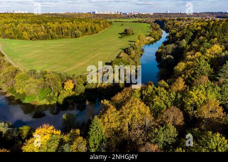 Arbres vue en hauteur de paysage coloré avec rivière et champs en campagne, vol de drone au-dessus de la nature d'automne Banque D'Images