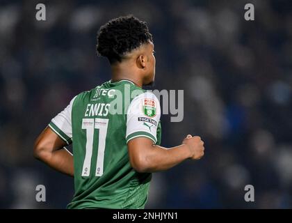 Plymouth Argyle avance Niall Ennis (11) pendant le match de Trophée Papa John's Plymouth Argyle vs Cheltenham Town at Home Park, Plymouth, Royaume-Uni, 21st février 2023 (photo de Stanley Kasala/News Images) Banque D'Images