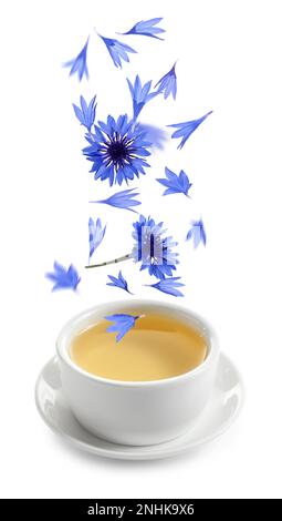 Beaux pétales de fleur de maïs bleu tendre tombant dans une tasse de thé sur fond blanc Banque D'Images