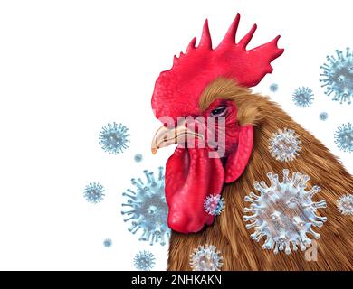 Influenza aviaire crise de la grippe aviaire et virus aviaire comme virus de la volaille infecté par le bétail de poulet comme risque pour la santé en cas d'éclosion d'infection mondiale Banque D'Images