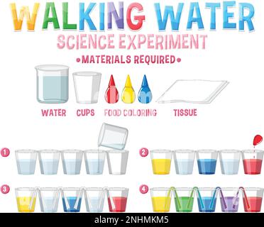 Illustration de l'expérience de la science de l'eau à pied Illustration de Vecteur