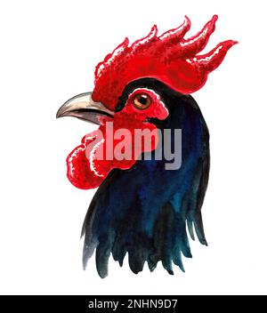 Tête de coq noire. Dessin à l'encre et aquarelle Banque D'Images